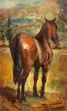 Giuseppe Fraschetti, Cavallo