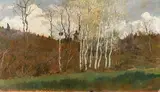 Francesco Gioli, Betulle