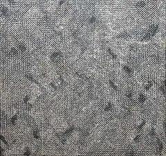Davide Nido, Retina, Sul verso: titolo a data.