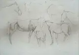 Luigi Gioli, Studi di cavalli