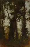 Vincenzo Cabianca, Alberi