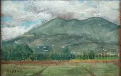 Alle falde del Vesuvio by Giuseppe De Nittis, offered Apr 2020
