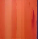Ennio Finzi, Dissonanza in arancio