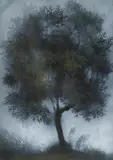 Corrado Cagli, Albero