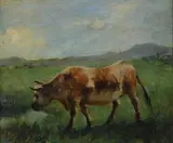 Alceste Campriani, Mucca al pascolo