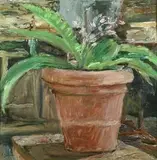 Enzo Faraoni, Vaso