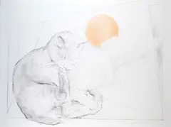 Gatto by Antonio Ciccone, offered Mar 2020