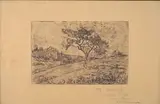 Albero by Gino Romiti, In basso a destra, offered Feb 2020
