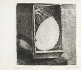 Luigi Bartolini, La fragile conchiglia, a pencil: firma in basso a destra; titolo in basso a sinistra; tiratura in basso al centro. In lastra: firma