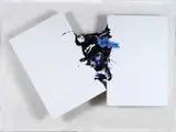 Renato Ranaldi, Fuoriquadro 1