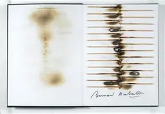 Il fuoco e il rosso by Bernard Aubertin, Libro d'autore Bernard Aubertin, offered Oct 2019