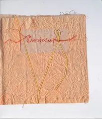 Curiosape by Maria Lai, Editore A.D. arte duchamp, offered Oct 2019