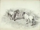 Arturo Faldi, Cavalli in sosta