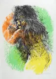 Anna Salvatore, Figura, mm.