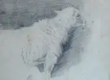 Stefano Bruzzi, Pecora