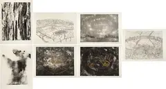 Cerchi del Tempo by Alan Sonfist, offered Jun 2019