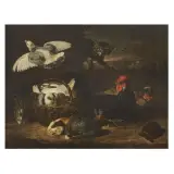 David de Coninck, Untitled