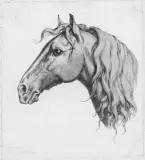 Untitled by Johann Heinrich Wilhelm Tischbein, TESTA DI CAVALLO (tavola, offered May 2022