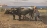 Pietro Senno, Untitled, PEASANT AND OXEN AT THE ROMAN VILLA DELLE GROTTE