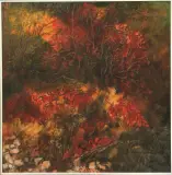 Enrico De Cillia, Carsio rosso 1979