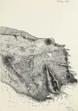 Mattia Moreni, Moreni Mattia