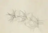 Giacomo Balla, Studio per volo rondini 1913