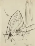 Emilio Scanavino, Senza titolo 1954
