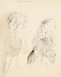 Alfredo Chighine, Figure e magnolie 1966
