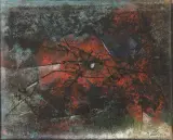 Salvatore Provino, Magma