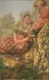 Ruggero Focardi, Sorrisi