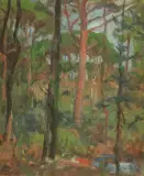 Luigi Gioli, Scorcio Di Bosco