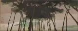 Yin Wantao, Untitled