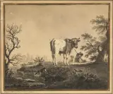 Pietro Giacomo Palmieri, Untitled
