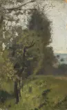 Telemaco Signorini, Paesaggio Con Alberi