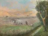 Alceste Campriani, Mattino Toscano