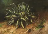 Francesco Lojacono, Agave