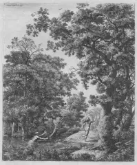 Anthonie Waterloo, Paesaggi Con Alberi 4, fogli