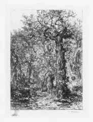 Paesaggi 7 by Frédéric Jacque, fogli, offered Mar 2021