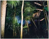 Richard Misrach, Hawaii (from the Hawaii Portfolio)