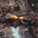 Andy Goldsworthy, Fall Leaves on Stones (2)
