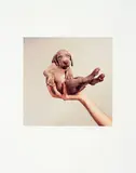 William Wegman, Hand Some