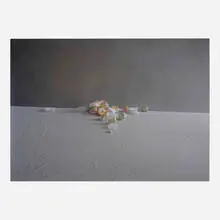 Laura Letinsky, Untitled #31 (from The Dog and the Wolf series), 2009, chromogenic print mounted to Plexiglas