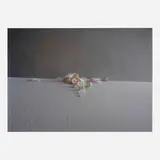 Laura Letinsky, Untitled #31 (from The Dog and the Wolf series), 2009, chromogenic print mounted to Plexiglas