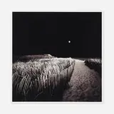 David Fokos, Moonrise, Chilmark, Massachusetts, chromogenic print mounted to matboard