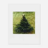 Untitled (Flo) by William Wegman, c. 1995, c-print on paper, sold Jan 2017