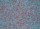 Jack Marlowe Wise, Untitled Blue and Red, gouache on paper