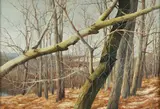 Charles Pitcher, (American/Western PA, 1927-2009), Triangles #1