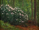 Charles Warren Eaton, Rhododendron, undated