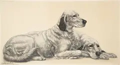 Léon Danchin, Setters Resting, color, etching on paper