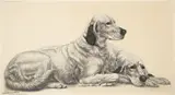 Léon Danchin, Setters Resting, color, etching on paper